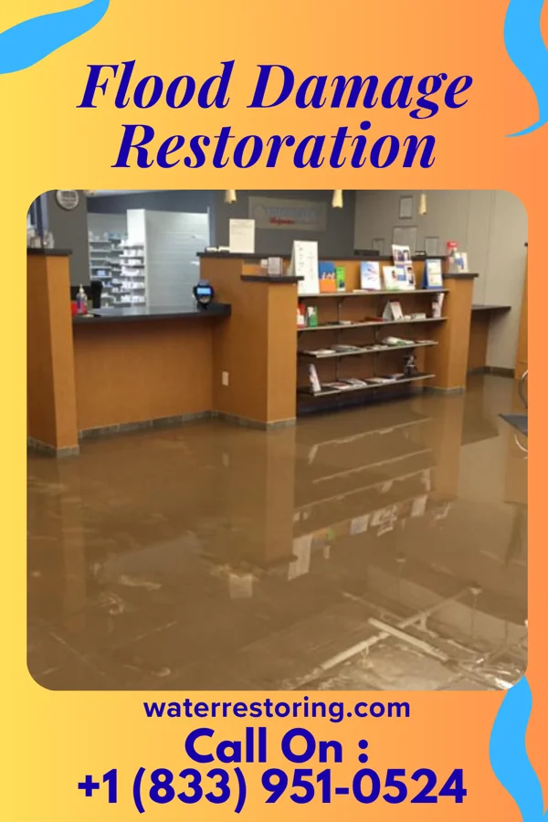 Flood Damage Restoration in Bison, KS