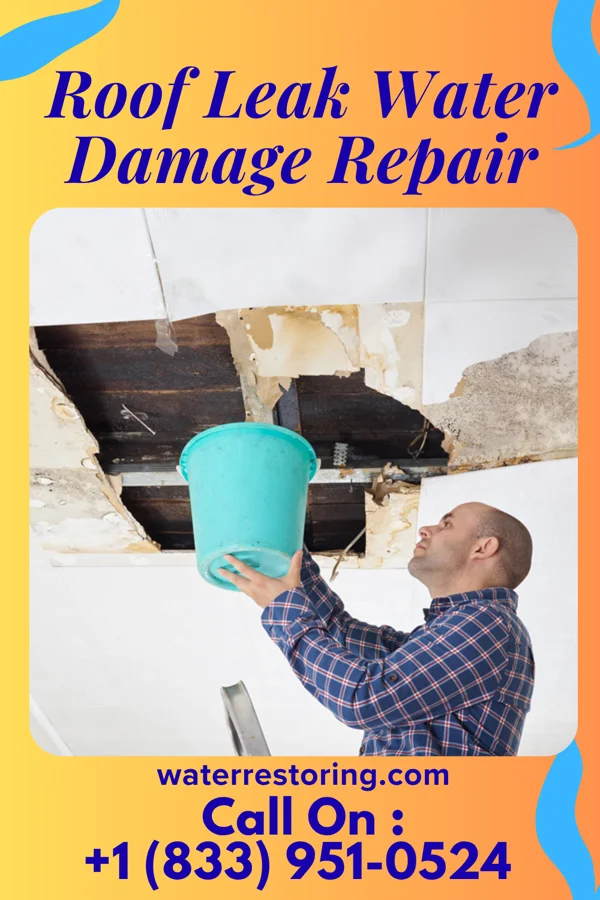 Roof Leak Water Damage Repair in Bison, KS