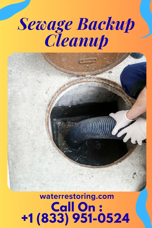 Sewage Backup Cleanup in Bison, KS